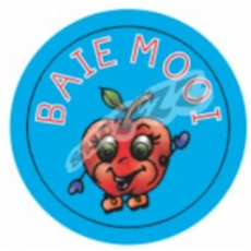 BAIE MOOI (60 STICKERS)      
